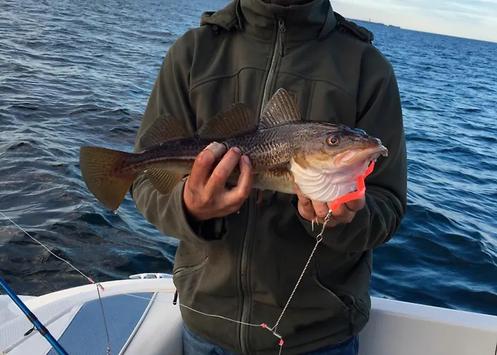 Appartamento Nr 2 Haffkrug